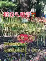 糀谷八幡宮(埼玉県)