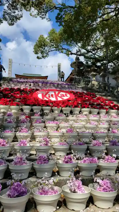 防府天満宮の{uncategorized: "未分類", other: "その他", undefined: "問題あり", building: "その他建物", grave: "お墓", sacred_gate: "鳥居", guardian: "狛犬", statue: "像", buddha: "仏像", history: "歴史", nature: "自然", garden: "庭園", animal: "動物", pagoda: "塔", temizu: "手水舎", mountain_gate: "山門・神門", sanctuary: "本殿・本堂", subordinate: "末社・摂社", art: "芸術", scenery: "景色", jizo: "地蔵", ema: "絵馬", goshuin: "御朱印", omikuji: "おみくじ", items: "授与品その他", amulet: "お守り", goshuincho: "御朱印帳", eats: "食事", festival: "お祭り", votive_dance: "神楽", shichigosan: "七五三参", wedding: "結婚式", experience: "体験その他", initially: "初詣", around: "周辺", anti_infection: "感染症対策"}