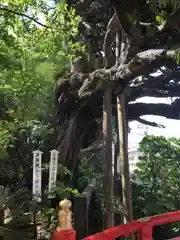 伊古奈比咩命神社の建物その他