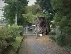 花石神社の自然