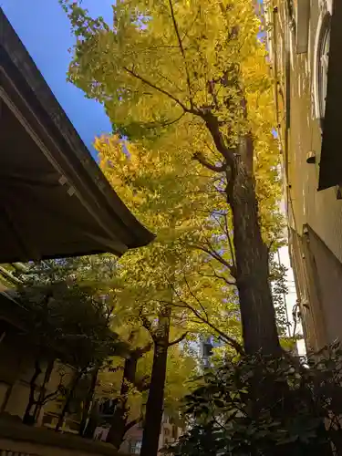 銀杏岡八幡神社(東京都)