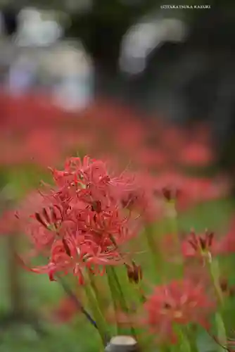 横浜　西方寺(神奈川県)