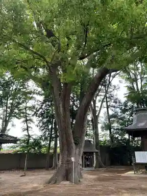 三島八幡神社(福島県)