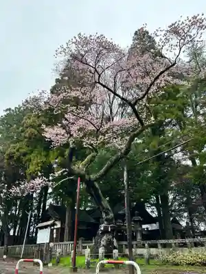愛宕稲荷神社(長野県)