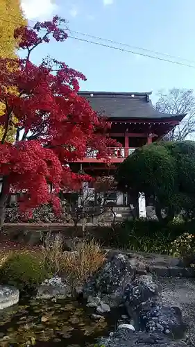 長圓寺の庭園