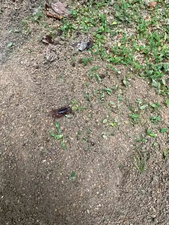 金剛輪寺(滋賀県)