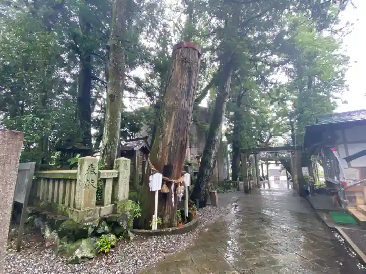 椙本神社(高知県)