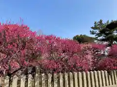 曽根天満宮の庭園