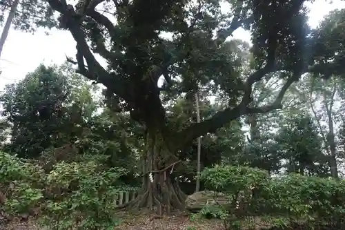 新日吉神宮の庭園