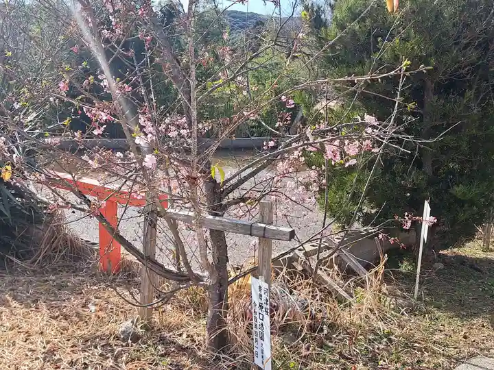 諸津観音(長崎県)