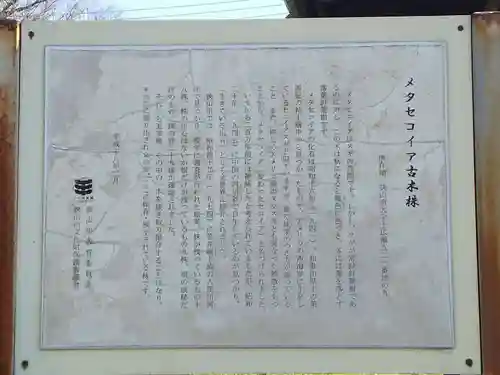 清水八幡宮(埼玉県)