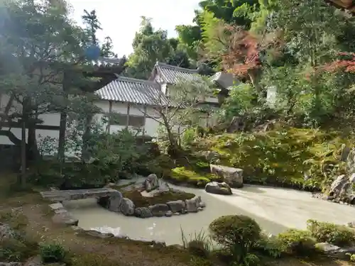 浄住寺の庭園