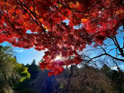 栄存神社(宮城県)