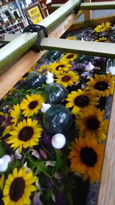 浅草神社の手水舎