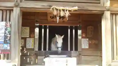 多度大社(三重県)