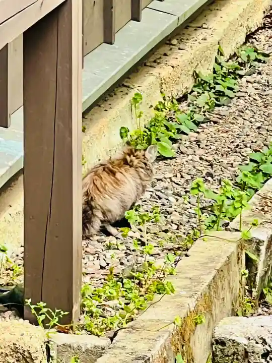 常陸二ノ宮 静神社の{uncategorized: "未分類", other: "その他", undefined: "問題あり", building: "その他建物", grave: "お墓", sacred_gate: "鳥居", guardian: "狛犬", statue: "像", buddha: "仏像", history: "歴史", nature: "自然", garden: "庭園", animal: "動物", pagoda: "塔", temizu: "手水舎", mountain_gate: "山門・神門", sanctuary: "本殿・本堂", subordinate: "末社・摂社", art: "芸術", scenery: "景色", jizo: "地蔵", ema: "絵馬", goshuin: "御朱印", omikuji: "おみくじ", items: "授与品その他", amulet: "お守り", goshuincho: "御朱印帳", eats: "食事", festival: "お祭り", votive_dance: "神楽", shichigosan: "七五三参", wedding: "結婚式", experience: "体験その他", initially: "初詣", around: "周辺", anti_infection: "感染症対策"}
