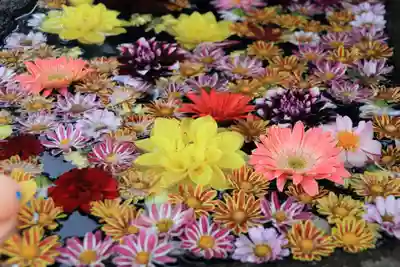 大鏑神社の手水舎