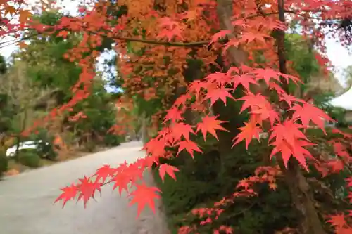 大崎八幡宮の自然