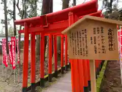 多賀大社の鳥居