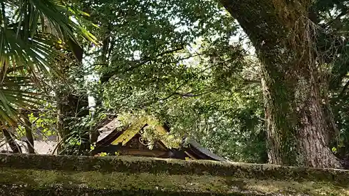 伊賀八幡宮の本殿・本堂