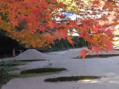 明月院(神奈川県)