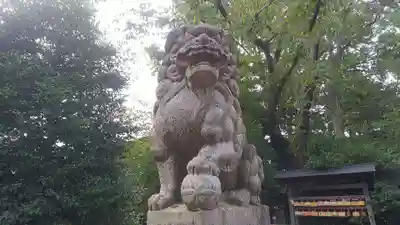 野火止氷川神社の狛犬