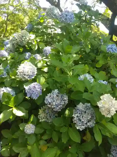 佛母寺(千葉県)