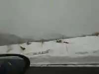 須佐神社(島根県)