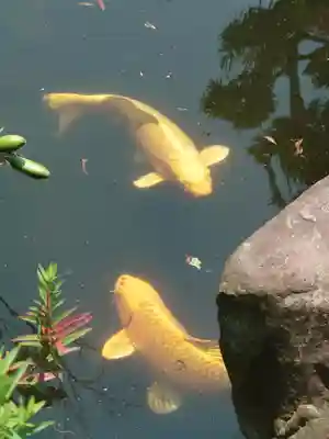 宇賀神社(神奈川県)