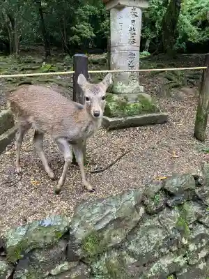 春日大社(奈良県)