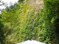 岩窟不動尊(巌窟不動尊/窟堂不動尊/窟堂/岩屋堂)の自然