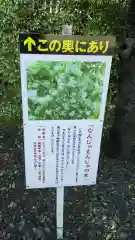 栃木縣護國神社の建物その他