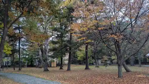 十勝護国神社の自然