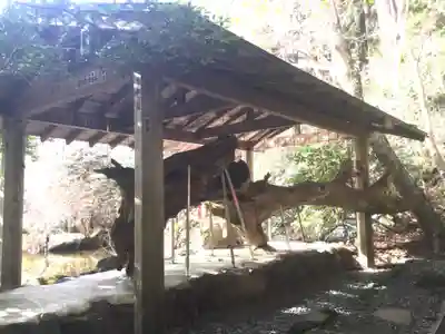 箱根神社のその他建物