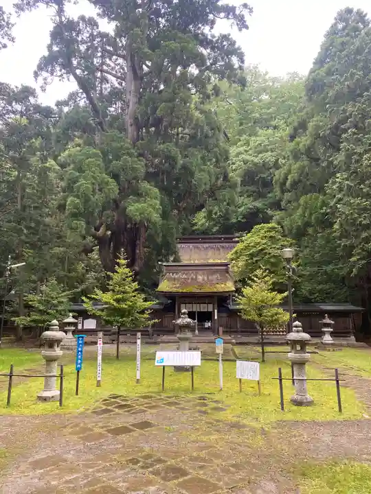 若狭姫神社(若狭彦神社下社)(福井県)