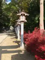 錦織神社(大阪府)