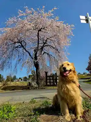 長徳寺(岩手県)
