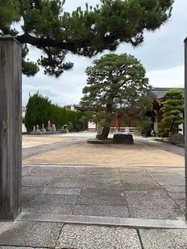 地蔵寺（桂地蔵寺）(京都府)
