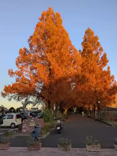 野木神社の周辺