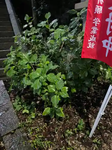 蚊里田八幡宮(長野県)