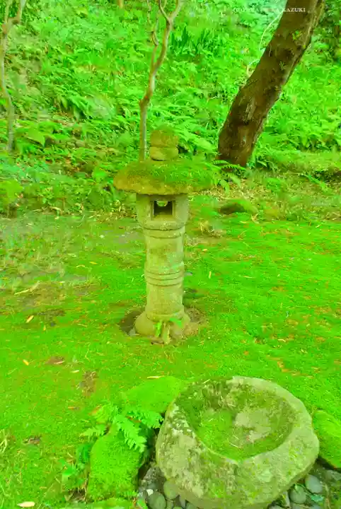 報国寺(神奈川県)