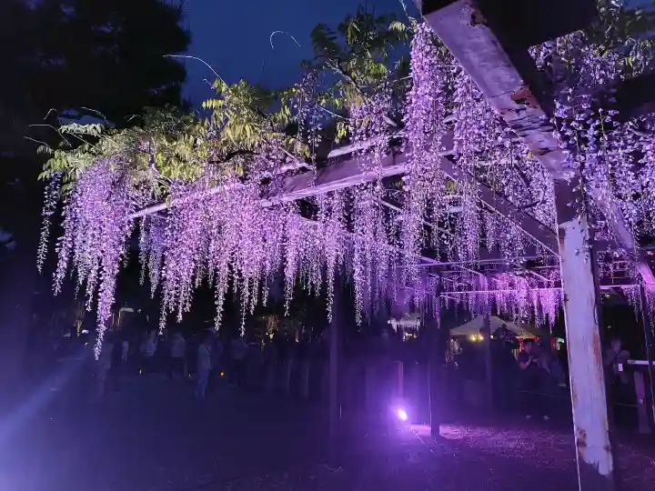葛井寺(大阪府)
