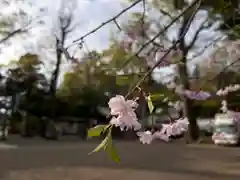 一言主神社の自然