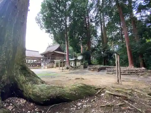 吉川八幡宮の建物その他