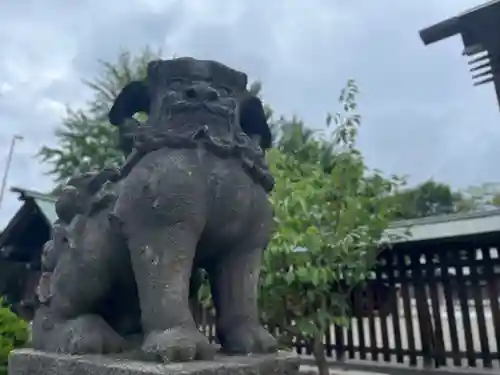 札幌護國神社の狛犬