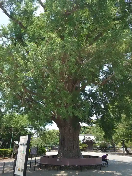 時宗総本山 遊行寺(正式:清浄光寺)(神奈川県)