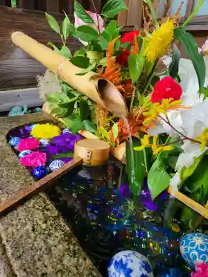 勝林寺(京都府)