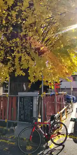 島原住吉神社(京都府)