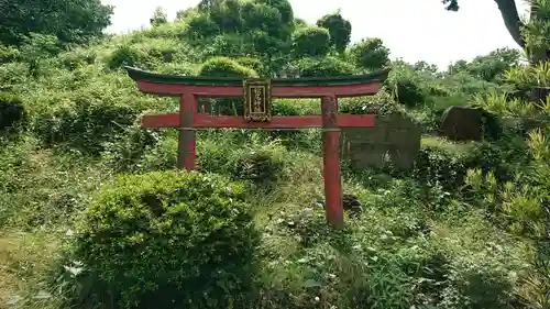 敷島神社の鳥居