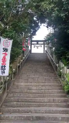 高尾神社の鳥居